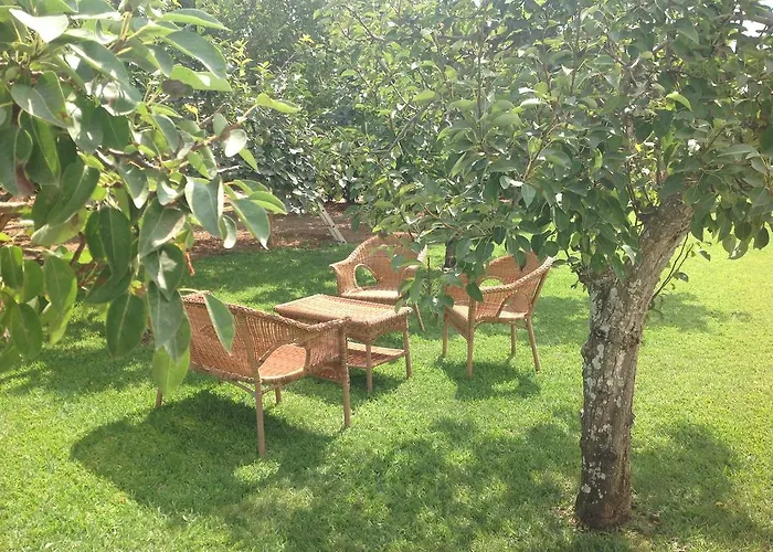 Фермерский дом L'agrumeto