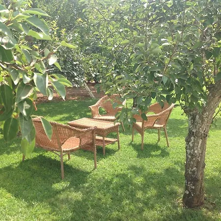 Séjour à la ferme L'agrumeto